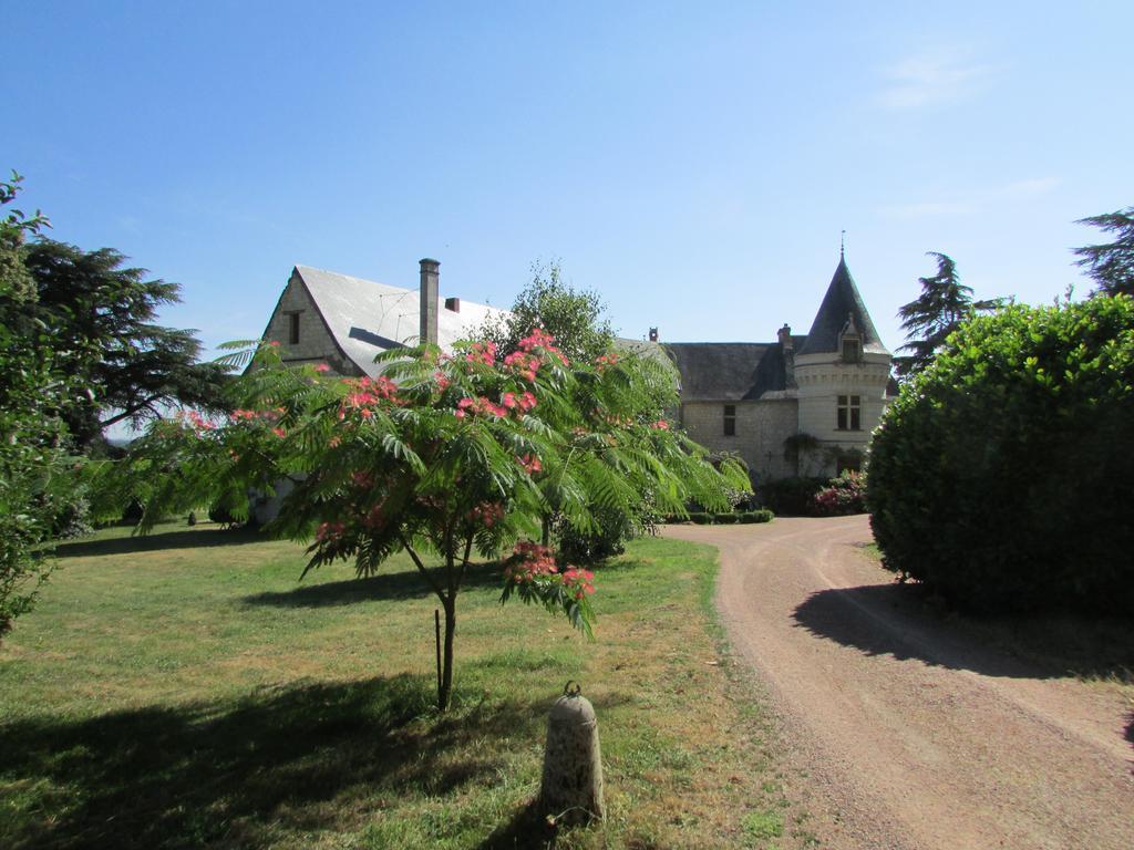 Bed and Breakfast Chateau De La Roche Martel Roiffé Exterior foto
